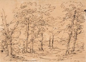Paisagem com árvores e montanhas ao fundo de Salvator Rosa