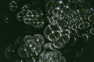 Bolas de discoteca cintilantes de Samantha Hearn