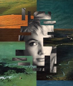 A Face Fragmentada da Natureza