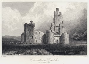 Courtstown Castle, Co Kilkenny (gravura) de Samuel (after) Austin