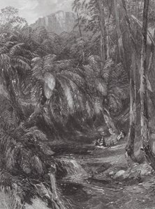 Austrália: Um vale de fetos (gravura) de Samuel (after) Prout