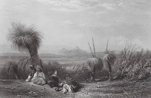 Austrália: Planícies de Grass Tree (gravura)