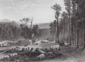 Austrália: Marysville, Vitória (gravura)