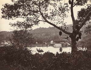 A Peep from Upper Lake Road mostrando Templo e Ilha com Parque - árvore frutífera em primeiro plano de Samuel Bourne