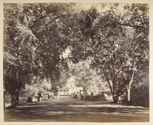Um arco de árvores perto de Tanjore de Samuel Bourne