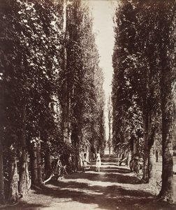  de Samuel Bourne