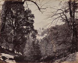 Shimla. A igreja através das árvores, vista de Jakko de Samuel Bourne
