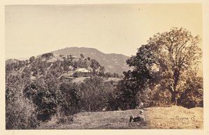 Simla; "Peterhof" de Samuel Bourne
