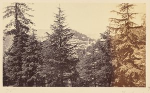 Simla; A igreja através das árvores, de Jakko de Samuel Bourne