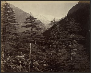 Picos nevados perto de Gangotri, de Bhairamghati de Samuel Bourne