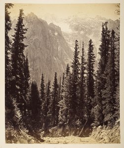 Alturas nevadas do Vale Wanga de Samuel Bourne