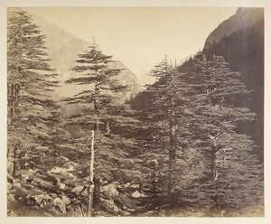 Picos de neve perto de Gangootri a partir de Bhairamghati. Fotógrafo: Bourne, Samuel Album de fotografias da Índia, principalmente por Samuel Bourne1866 de Samuel Bourne