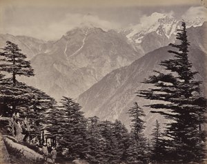 O Alto Himalaia. Vista perto das Montanhas da China. Cedros-do-Himalaia em primeiro plano de Samuel Bourne