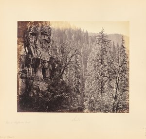 Vista na floresta de Narkunda de Samuel Bourne