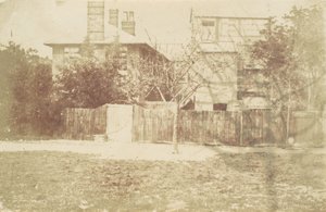 Árvore em Yard, 1850s. de Samuel Buckle