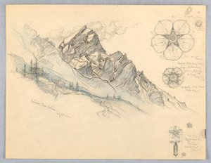 Antelao, de Cortina, com Estudos de Flores de Samuel Colman