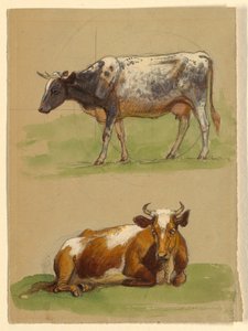 Desenho, Gado, uma vaca a andar e uma vaca agachada, 1875-80 de Samuel Colman