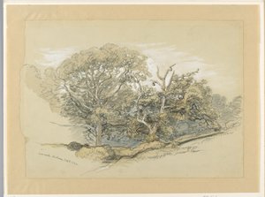 Desenho, Oak Wood, Montauk, Nova Iorque, 8 de setembro de 1880 de Samuel Colman