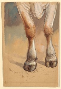 Desenho, Estudos sobre o gado, 1871 de Samuel Colman