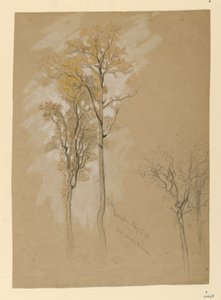 Oaks, Lady Wood Lane, Irvington de Samuel Colman