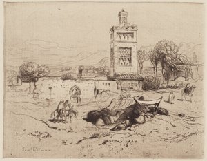 Ruínas de uma mesquita, Tlemcen, Argélia de Samuel Colman