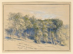 Estudo de Maple Grove, Greensboro, Vermont de Samuel Colman