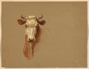 Dois estudos de gado de Samuel Colman