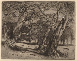 Sem título (Paisagem Arborizada) de Samuel Colman