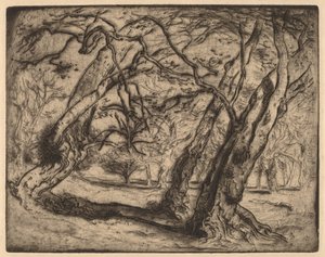Sem título (Paisagem Arborizada) de Samuel Colman