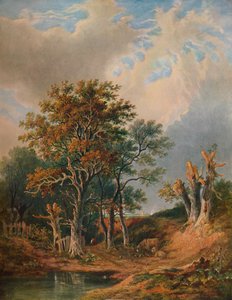 Paisagem, 1847 de Samuel David Colkett