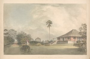 Bangalô do Sr. Croft, Perto de Madras de Samuel Davis