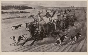 Bravo Toro! (litografia) de Samuel Edmund (after) Waller