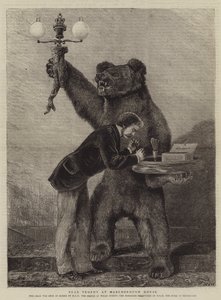 Troféu Urso na Casa Marlborough de Samuel Edmund Waller