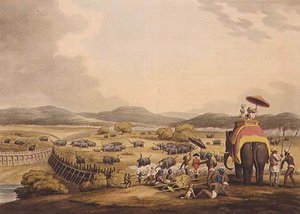 Driving Elephants Into A Keddah, de "Oriental Field Sports", pub. por Edward Orme