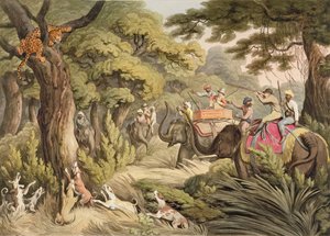 Shooting A Leopard, da Oriental Field Sports, pub. por Edward Orme, 1807 (impressão)