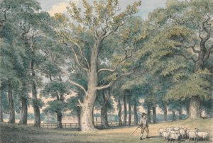 Uma Paisagem de Parque com Pastor e Ovelhas de Samuel Howitt