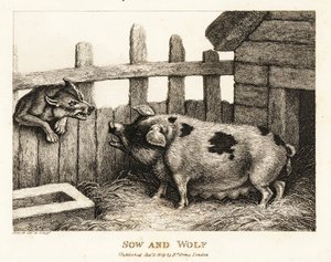 Uma grande porca em um chiqueiro rosnando para um lobo. 1811 (gravura)