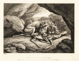 Um leão comendo a carcaça de um veado em uma caverna. 1811 (gravura)