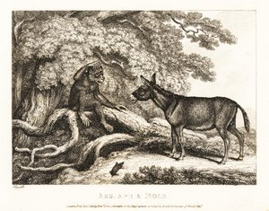 Um macaco e um burro gemem até que uma toupeira os silencia. 1811 (gravura)
