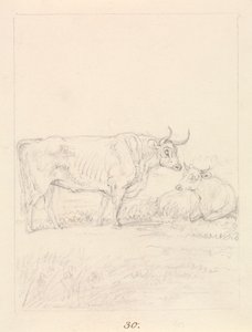 Touro e Vaca de Samuel Howitt