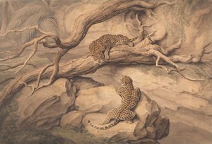  de Samuel Howitt
