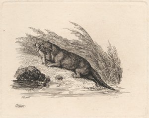 Otter de Samuel Howitt