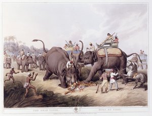 O Tigre Morto; Morte do Tigre, 1807