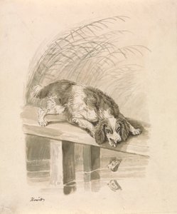 O Cão e a Sombra de Samuel Howitt