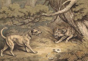 O cão e o lobo de Samuel Howitt