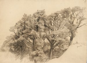 Paisagem com árvores, 1884 (carvão sobre papel brilhante)