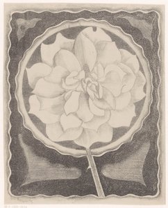 Roos de Samuel Jessurun de Mesquita (signed by artist)