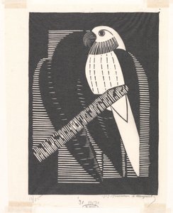 Periquito (periquito) de Samuel Jessurun de Mesquita