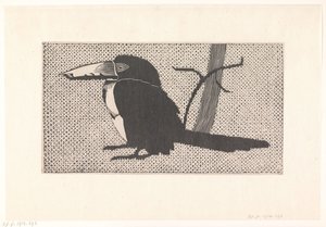 tucano de Samuel Jessurun de Mesquita