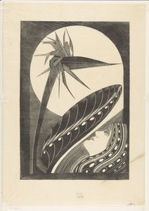 Strelitzia desbotada de Samuel Jessurun de Mesquita